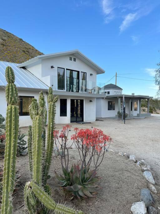 Two Pepper Ranch - A Desert Oasis Morongo Valley Exteriör bild